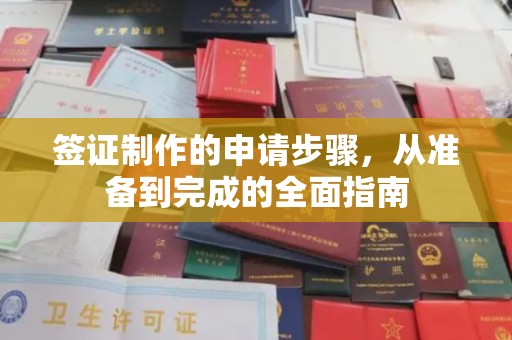 雾峰签证制作的申请步骤，从准备到完成的全面指南