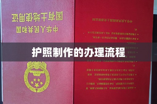雾峰护照制作的办理流程