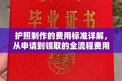 雾峰护照制作的费用标准详解，从申请到领取的全流程费用指南