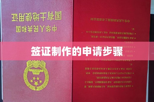 雾峰签证制作的申请步骤