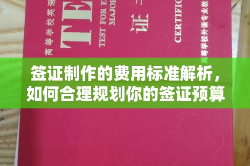 雾峰签证制作的费用标准解析，如何合理规划你的签证预算