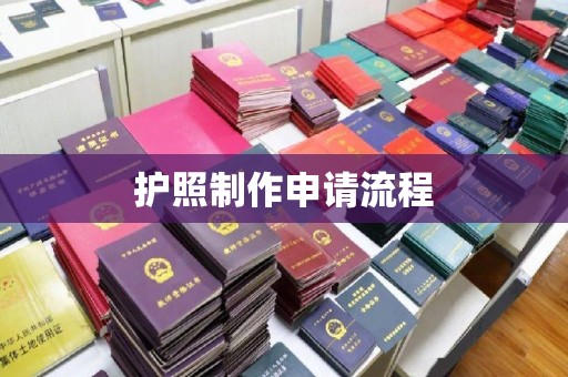 雾峰护照制作申请流程