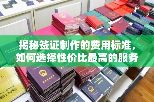 雾峰揭秘签证制作的费用标准，如何选择性价比最高的服务？