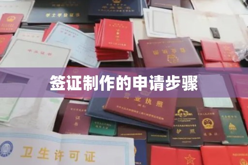 雾峰签证制作的申请步骤