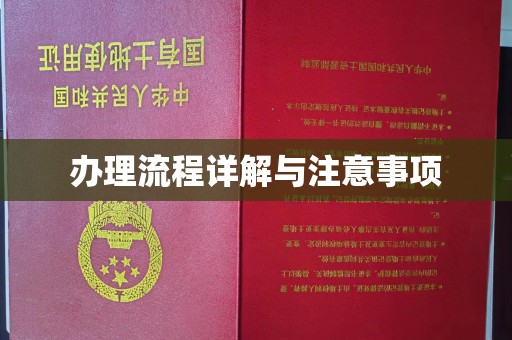 雾峰办理流程详解与注意事项